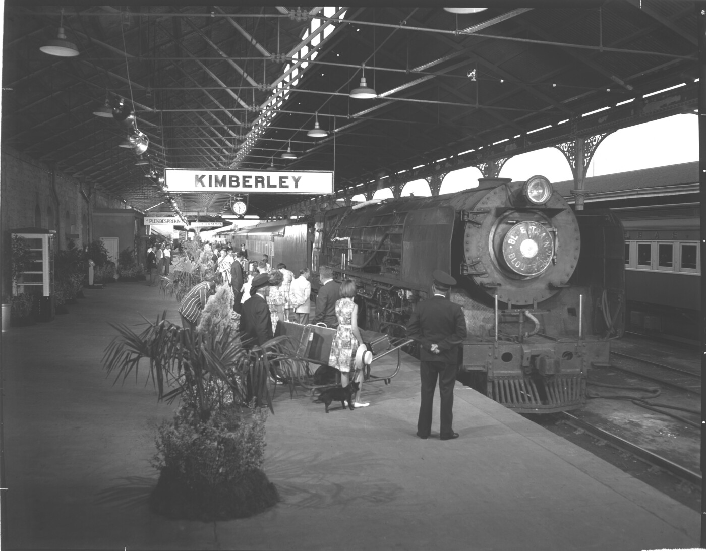 Kimberley Sar Class 25nc On Blue Train Entering Railway Station