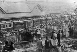 Grahamstown, 3 September 1879. Opening of the Alicedale - Grahamstown line. Large crowd welcoming...