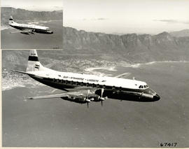 Cape Town. SAA Vickers Viscount ZS-CDT 'Blesbok'. See N78902.