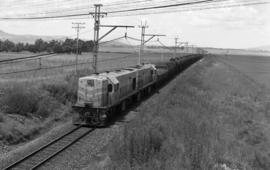 Volksrust district, 1964. SAR Class 1-DE or 31-000 with goods train.