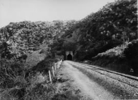 Alicedale, 1895. Tunnel on the Grahamstown line. (EH Short)