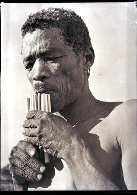 Namibia, 1937. Hottentot man playing reed flute.
