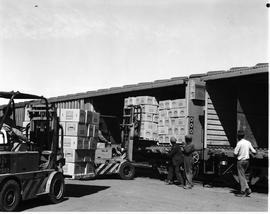 Cape Town, April 1971. Loading apples with forklift from train.