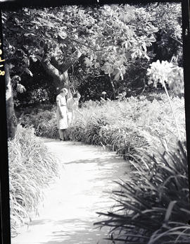 Bethulie, 1940. Public park.