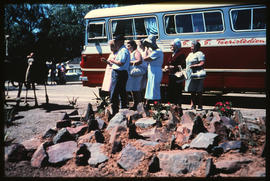 Oudtshoorn district, 1967. SAR Mercedes Benz tour bus at Highgate ostrich farm. SAS Toeristediens
