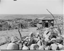East London, March 1947. View of the veld from the East Cambridge staging point.