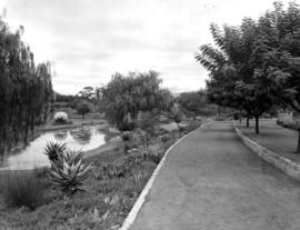 Queenstown, 1950. Sunken gardens.