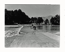 Paarl district, 1945. Donkey cart crossing drift in Berg River.
