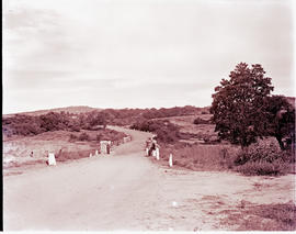 "Nelspruit district, 1946. Bridge on the road to White River."