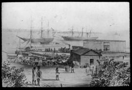 Durban, circa 1880. The Point. Durban Harbour.