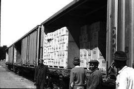 Cape Town, April 1971. Boxes of apples in train wagons.