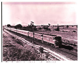 Gouda district, 1972. Two SAR Class 5E1Srs 1's with new Blue Train at Voelvlei.