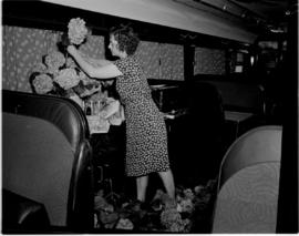 
Flowers being arranged in dining saloon of the royal Train.

