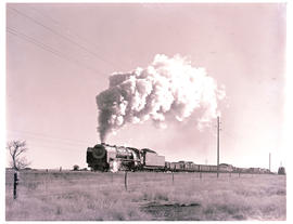 "Edenburg district, 1972. SAR Class 23 with goods train in open country."