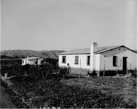 Barberton, 1954. Municipal native housing scheme.