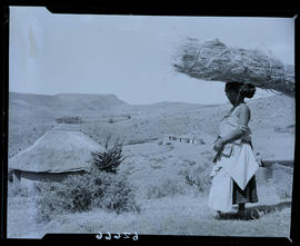 Transkei, 1954. Woman with firewood on head.
