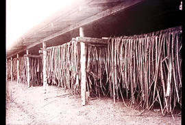 Drying shed.