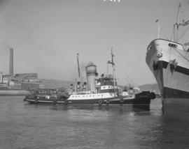 East London, 1968. Tug at ship in Buffalo Harbour.