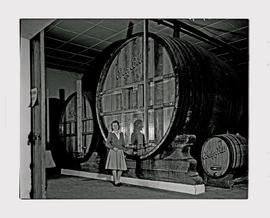 Paarl, 1945. KWV distillery. 'Big Bill wine vat.