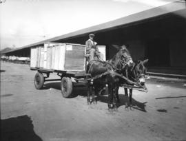 Wagon with wooden boxes being drawn by two horses.