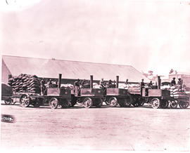 Johannesburg. Four SAR Thornycroft tractors at old Kazerne with trailers loaded with bags.