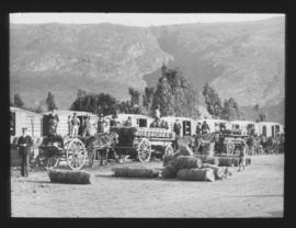 De Doorns. Loading fruit onto horse-drawn wagons in the Hex River valley.