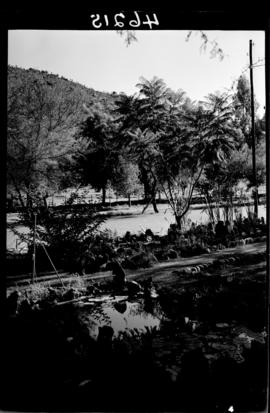 Graaff-Reinet, 1939. Public gardens.