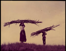 Melmoth district. Zulu woman and child fetching firewood at Nkandla.