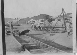 Windhoek, South-West Africa, May 1917. Railway Regiment hauling rails. (Donated by Mrs AS Lynn)