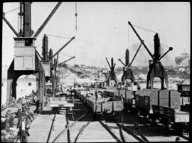 Port Elizabeth. Goods wagons and wharf cranes in harbour.