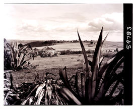 Transkei, 1952. Kraal in the distance.
