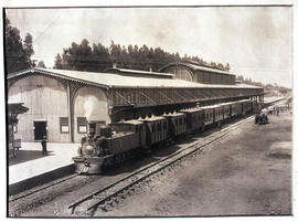 Johannesburg, 1895. Park station.