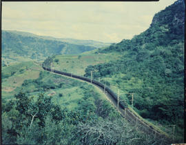 Durban district, 1960. SAR passenger train near Shongweni.