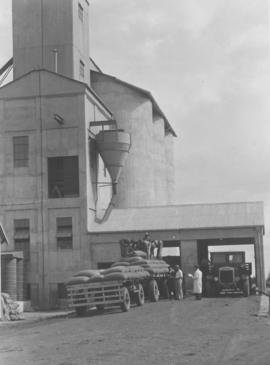 Ladybrand district, 1936. Thornycroft truck unloading maize at Westminster grain elevator.