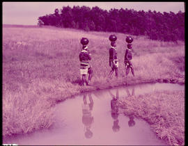 Melmoth district. Zulu girls fetching water at Nkandla.