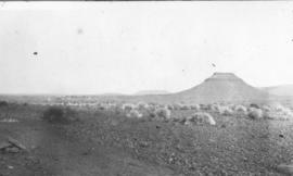 Upington district, August 1914 to July 1915. Construction of the Prieska - Karasburg railway line...