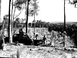 Caledon district, 1954. Loading timber at Elgin.