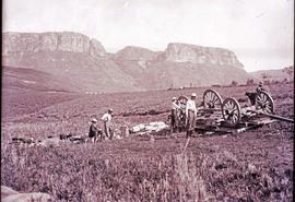 Drakensberg. Men fixing overturned oxwagon, mountain in background.