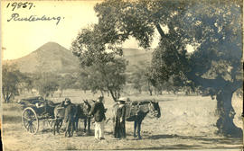 Rustenburg district. Well-dressed persons with cart drawn by four donkeys.