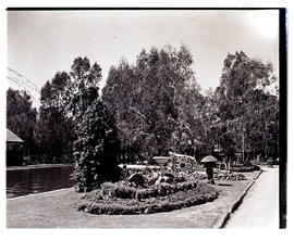 "Aliwal North, 1939. Pool and garden at hot springs resort."
