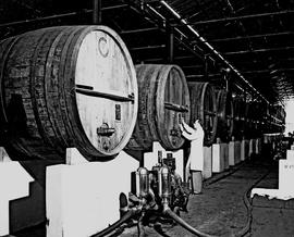 Paarl, 1945. KWV distillery. Rows of wine vats.