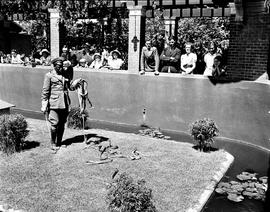 Port Elizabeth, 1940. Snake park.