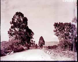 "Nelspruit district, 1938. Approach road."