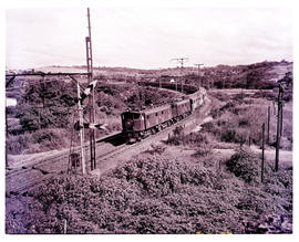 Durban district, 1951. Two SAR Class 1E's with Orange Express.