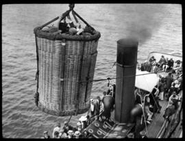 East London. Landing passengers in basket from mail steamship in Buffalo harbour.