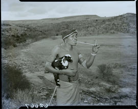 Transkei, 1954. Herder smoking pipe while holding lamb.