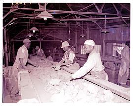 "Kimberley, 1946. Diamond ore on conveyor belt."