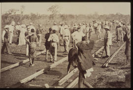 Large group of labourers laying railway line.