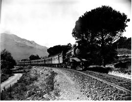 Caledon district, 1949. SAR Class 19C with passenger train near Elgin.