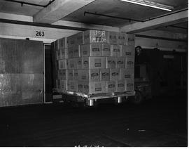 Cape Town, April 1971. Loading apples with forklift into cooling shed.